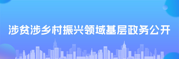 涉貧涉鄉(xiāng)村振興