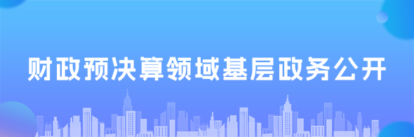 財(cái)政預(yù)決算